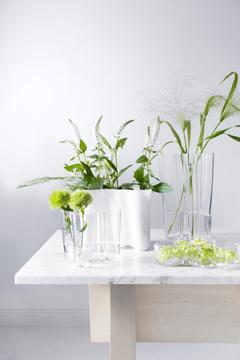 Iittala Collection at The Finnish Place